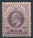 Наталь 1908-1909 гг. • Gb# 165 • 6 d. • Эдуард VII • стандарт • MH OG VF ( кат.- £ 5 )