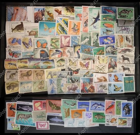 Фауна • набор 98 разных иностранных марок • Used VF