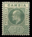 Гамбия 1902-1905 гг. • Gb# 45 • ½ d. • Эдуард VII • стандарт • MH OG VF ( кат. - £4 )