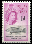 Тристан да Кунья 1960 г. • GB# 29 • 1 d. • Елизавета II • осн. выпуск • рыба конча • MNH OG XF