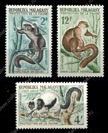 Мадагаскар 1961 г. • Mi# 467-469 • 2 - 12 fr. • Фауна Африки, лемуры • полн. серия • MNH OG VF