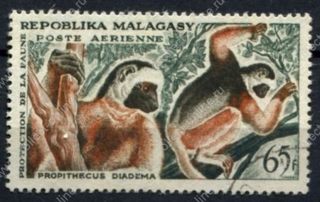 Мадагаскар 1961 г. • Mi# 470 • 65 fr. • Фауна Африки, лемуры • авиапочта • Used VF