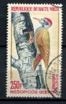 Буркина Фасо 1964 г. • Sc# C18 • 100 fr. • Птицы (дятел) • авиапочта • Used VF