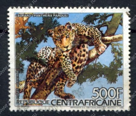 Центральноафриканская Республика 1986 г. • Mi# 1221A • 500 fr. • Фауна Африки • леопард • Used VF