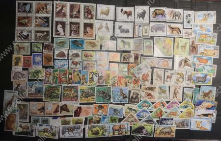 Фауна (животные) • набор 140+ разных иностранных марок • Used VF