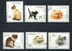 Албания 1966 г. • Sc# 965..971 • Кошки • 6 марок • Used(ФГ) OG NH