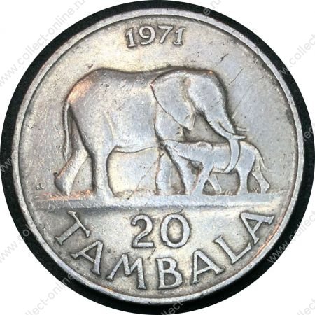 Малави 1971 г. • KM# 11.1 • 20 тамбала • слоны • регулярный выпуск • XF