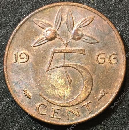 Нидерланды 1966 г. • KM# 181 • 5 центов • королева Юлиана • регулярный выпуск • MS BU • красн. бронза ( кат.- $15,00 )