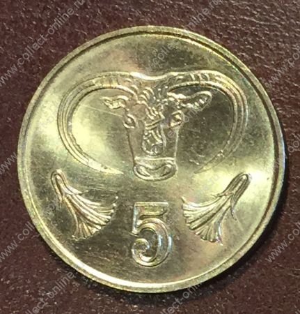 Кипр 1983-1998 гг. KM# 55 • 5 центов • стилизованная голова быка • регулярный выпуск • UNC - MS BU