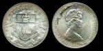 Багамы 1971 г. • KM# 24 • 5 долларов • герб островов • Елизавета II • серебро 925 - 42.12 гр. • регулярный выпуск(год - тип) • MS BU*