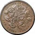 Новая Шотландия 1856 г. • KM# 6 • 1 пенни • цветы • торговый жетон • AU коричн.