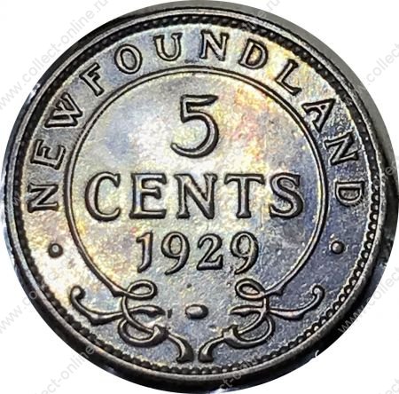 Ньюфаундленд 1929 г. • KM# 13 • 5 центов • Георг V • серебро • регулярный выпуск • XF-AU