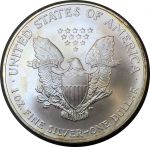 США 2004 г. • KM# 273 • 1 доллар • Американский орел • "Шагающая свобода" • инвестиционный выпуск • MS BU люкс!