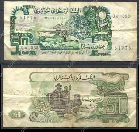 Алжир 1977 г. • P# 130 • 50 динаров • скот на пастбище • регулярный выпуск • F