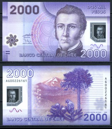 ЧИЛИ 2009г. P# 162 / 2000 ПЕСО UNC ПРЕСС / ФАУНА