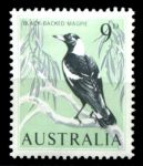 Австралия 1964-1965 гг. • Gb# 364 • 9 d. • Местные птицы • сорока • MNH OG VF