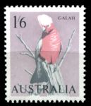 Австралия 1964-1965 гг. • Gb# 365 • 1s.6d. • Местные птицы • галах • MNH OG VF