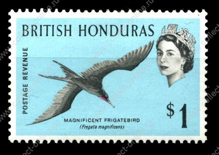 Британский Гондурас 1962 г. • Gb# 211 • $1 • птицы • фрегат великолепный • MH OG VF ( кат. - £12 )