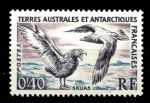 Французские Южные и Антарктические территории 1959 г. • SC# 13 • 0.40 fr. • Фауна Антарктики • чайки • MH OG VF