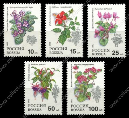 Россия 1993 г. • СК# 77-81 • 10 - 100 руб. • Комнатные растения • полн. серия • MNH OG VF