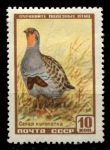 СССР 1957 г. • Сол# 1986 • 10 коп. • Фауна СССР • дикие животные • куропатка • MH OG VF