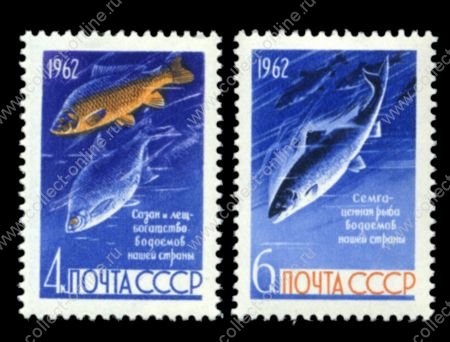 СССР 1962 г. • Сол# 2732-3 • 4 и 6 коп. • Промысловые рыбы • сазан и лещ, сёмга • полн. серия • MNH OG VF