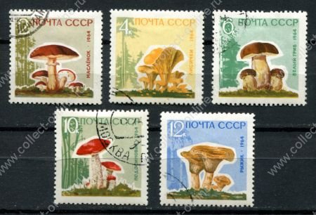 СССР 1964 г. • Сол# 3123-3127 • 2 - 12 коп. • Грибы • (без лака) • полн. серия • Used(ФГ) OG VF