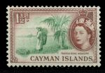 Каймановы о-ва 1953-1962 гг. • Gb# 151 • 1½ d. • Елизавета II 1-й осн. выпуск • сбор сырья для канатов • MH OG VF