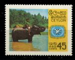 Цейлон 1967 г. • Gb# 530 • Международный год туризма • MH OG VF ( кат. - £3- )