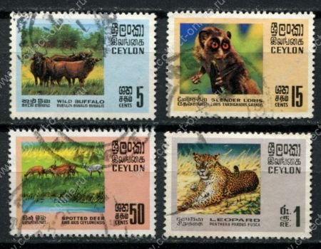 Цейлон 1970 г. • Gb# 561-564 • фауна, дикие животные Азии • полн. серия • Used VF ( кат. - £6 )