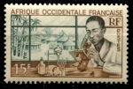 Французская Западная Африка 1953 г. • Iv# 48 • 15 fr. • развитие сельской медицины • MNH OG F-VF