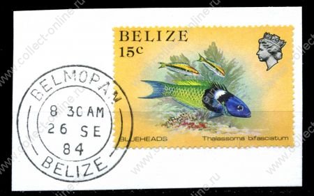 Белиз 1984 г. Sc# 706 • 15c. • морские рыбы • Used(СГ) VF • вырезка