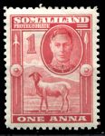 Сомалиленд 1938 г. • Gb# 94 • 1 a. • Георг VI основной выпуск • овца • MH OG VF ( кат. - £1.75- )