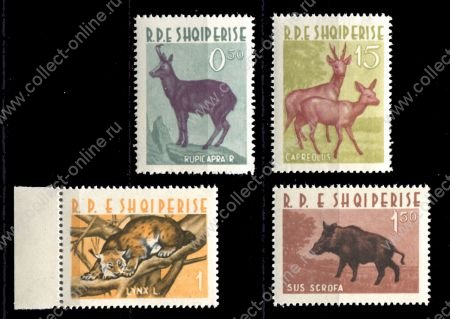 Албания 1962 г. • Mi# 699-702(SC# 639-42) • Дикие животные • MNH OG XF • полн. серия ( кат.- €25 )