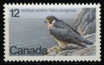 Канада 1978 г. • SC# 752 • 12 c. • Защита дикой природы • сокол • MNH OG VF