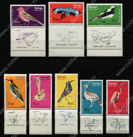 Израиль 1963 г. • Sc# C28..36 • 5 a. .. £1 • Птицы • 8 марок (с купонами) • авиапочта • MNH OG VF