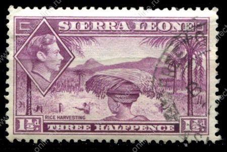 Сьерра-Леоне 1938-1944 гг. • Gb# 190a • 1½ d. • Георг VI • основной выпуск • уборка риса • Used VF ( кат.- £0,6 )