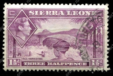 Сьерра-Леоне 1938-1944 гг. • Gb# 190a • 1½ d. • Георг VI • основной выпуск • уборка риса • MH OG VF