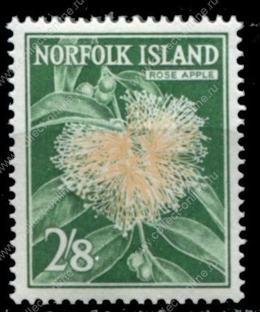Норфолк о-в 1960-62 гг. Gb# 34 • Елизавета II основной выпуск • 2s.8d. • цветок корицы • MNH OG XF