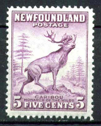 Ньюфаундленд 1941-1944 гг. • Gb# 280a • 5 c. • основной выпуск • северный олень(Карибу) • MNH OG VF ( кат.- £ 2,75 )