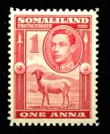 Сомалиленд 1938 г. • Gb# 94 • 1 a. • Георг VI основной выпуск • овца • MNH OG XF ( кат. - £1.75 )