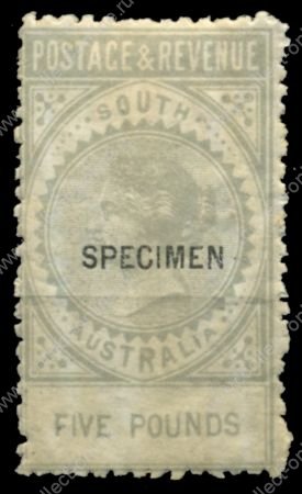 Южная Австралия 1886-1896 гг. • GB# 204s • £5 • Королева Виктория • надп. "Specimen" • MH OG VF ®