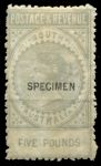 Южная Австралия 1886-1896 гг. • GB# 204s • £5 • Королева Виктория • надп. "Specimen" • MH OG VF ®