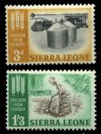 Сьерра-Леоне 1963 г. • Gb# 255-6 • 1½ d. и 1s.3d. • Свобода от голода • полн. серия • MNH OG VF