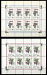 Россия 1993 г. • СК# 79,80 • 25 и 100 руб.(8) • комнатные растения • MNH OG VF • 2 мал. лист по 8 марок