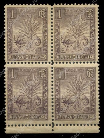 Мадагаскар 1903 г. • Iv# 63 • 1 c. • осн. выпуск • зебу у дерева путешественников • MNH OG VF • кв. блок ( кат.- €6+ )