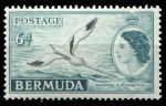 Бермуды 1953-1962 гг. • Gb# 143 • 6 d. • Елизавета II • осн. выпуск • птица фаэтон • MNH OG VF ( кат. - £6 )