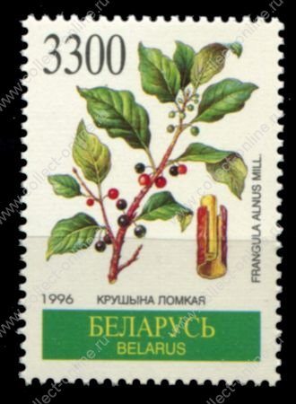 Беларусь 1996 г. • Mi# 161 • 3300 р. • Лекарственные растения • крушина ломкая • MNH OG VF