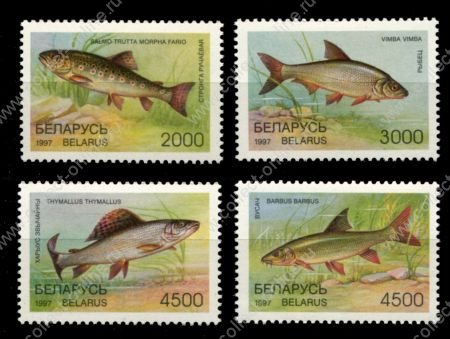 Беларусь 1997 г. • Mi# 217-220 • пресноводные рыбы • полн. серия • MNH OG VF