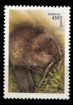 Беларусь 1995 г. • Mi# 98 • 450 р. • дикие животные • бобры • MNH OG VF